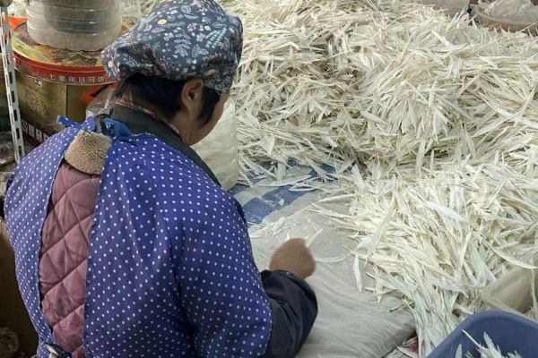 Selezione del materiale